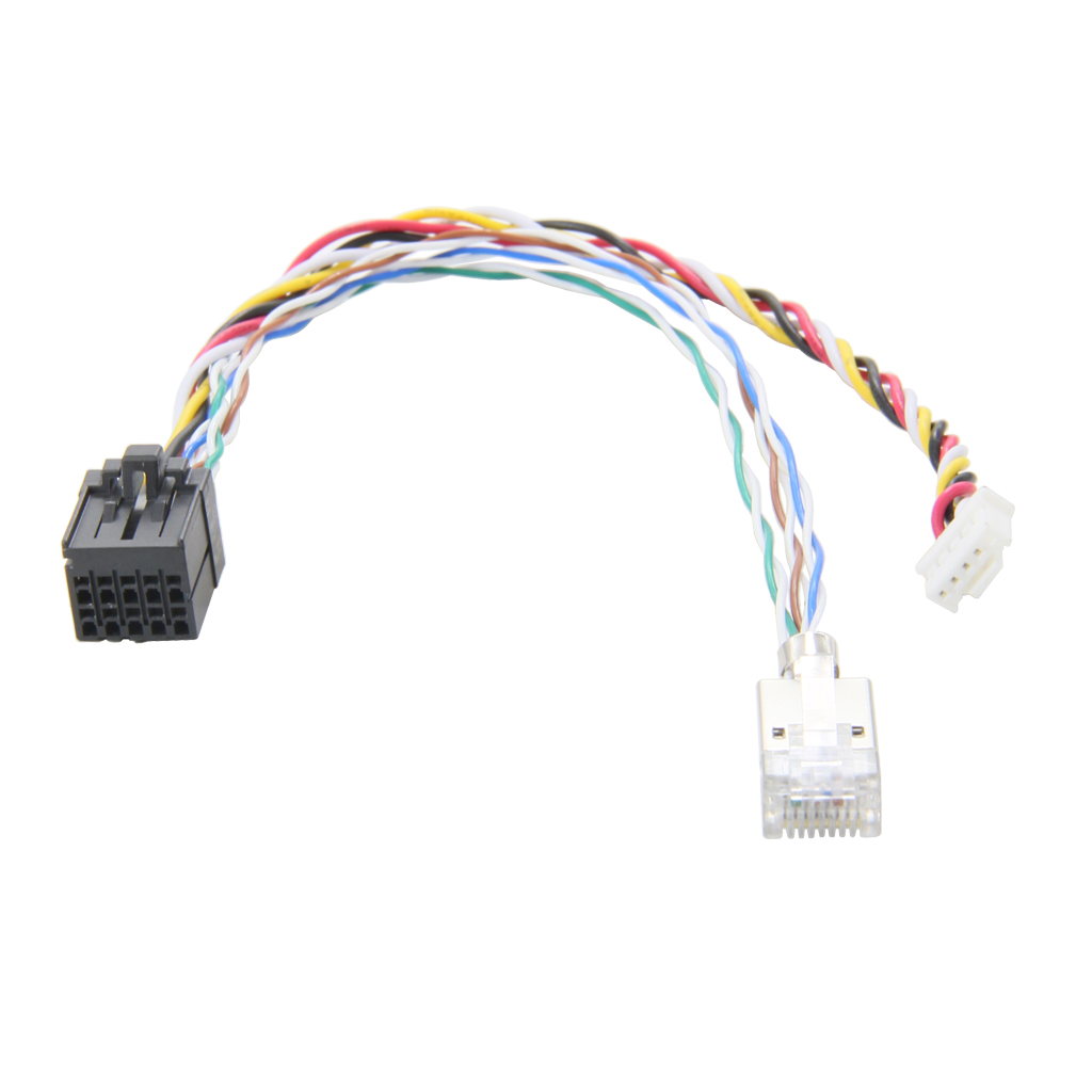 JST J21DPM-10V Wire Harness
