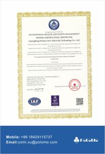 ISO 45001 Occupational Health and Safety Management System