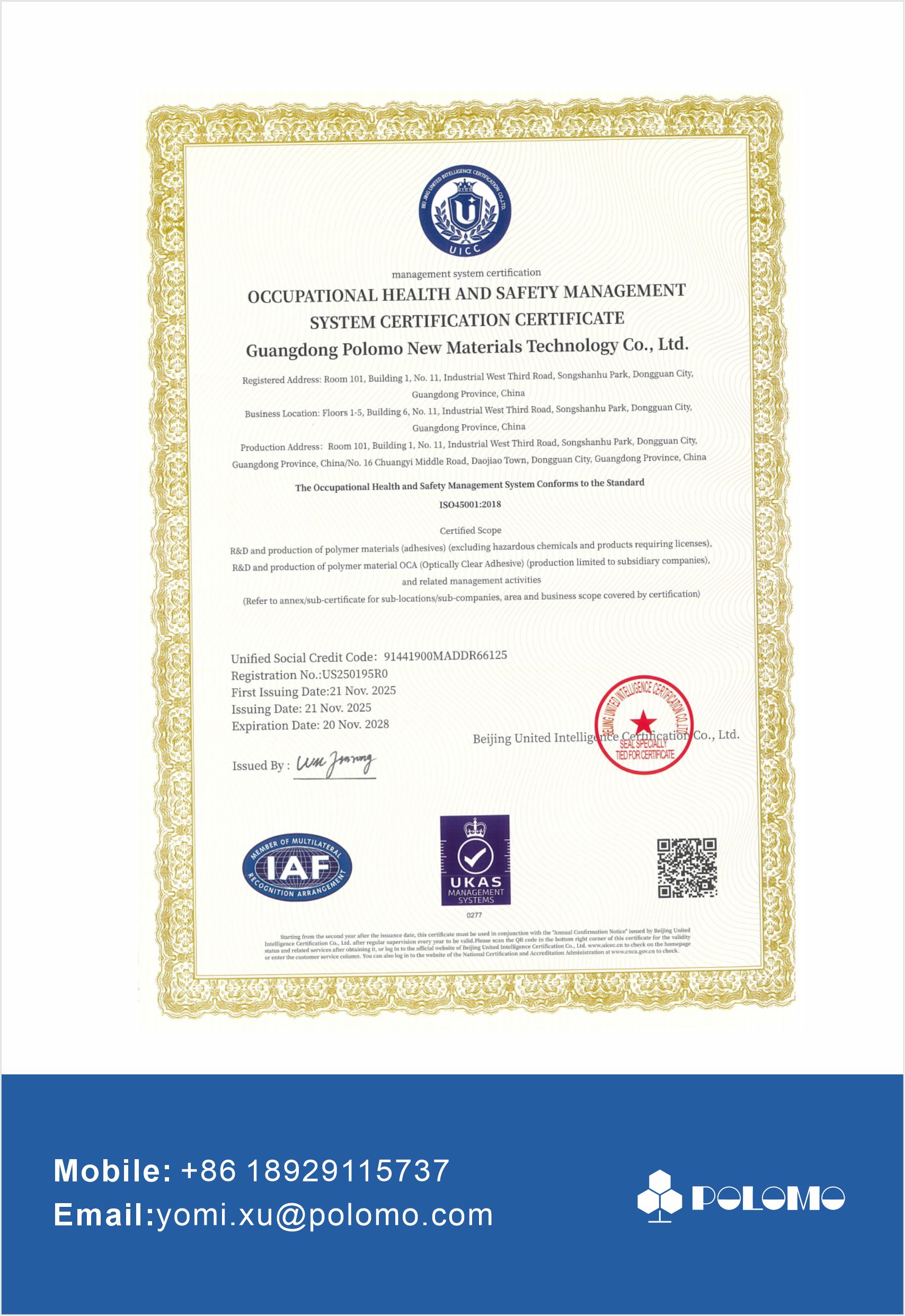 ISO 45001:2018 occupational health and safety management system certificate US250195R0