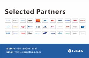 Automotive OEMs, Tier 1, panel manufacturers, lamination manufacturers, display terminal manufacturers, and distributors