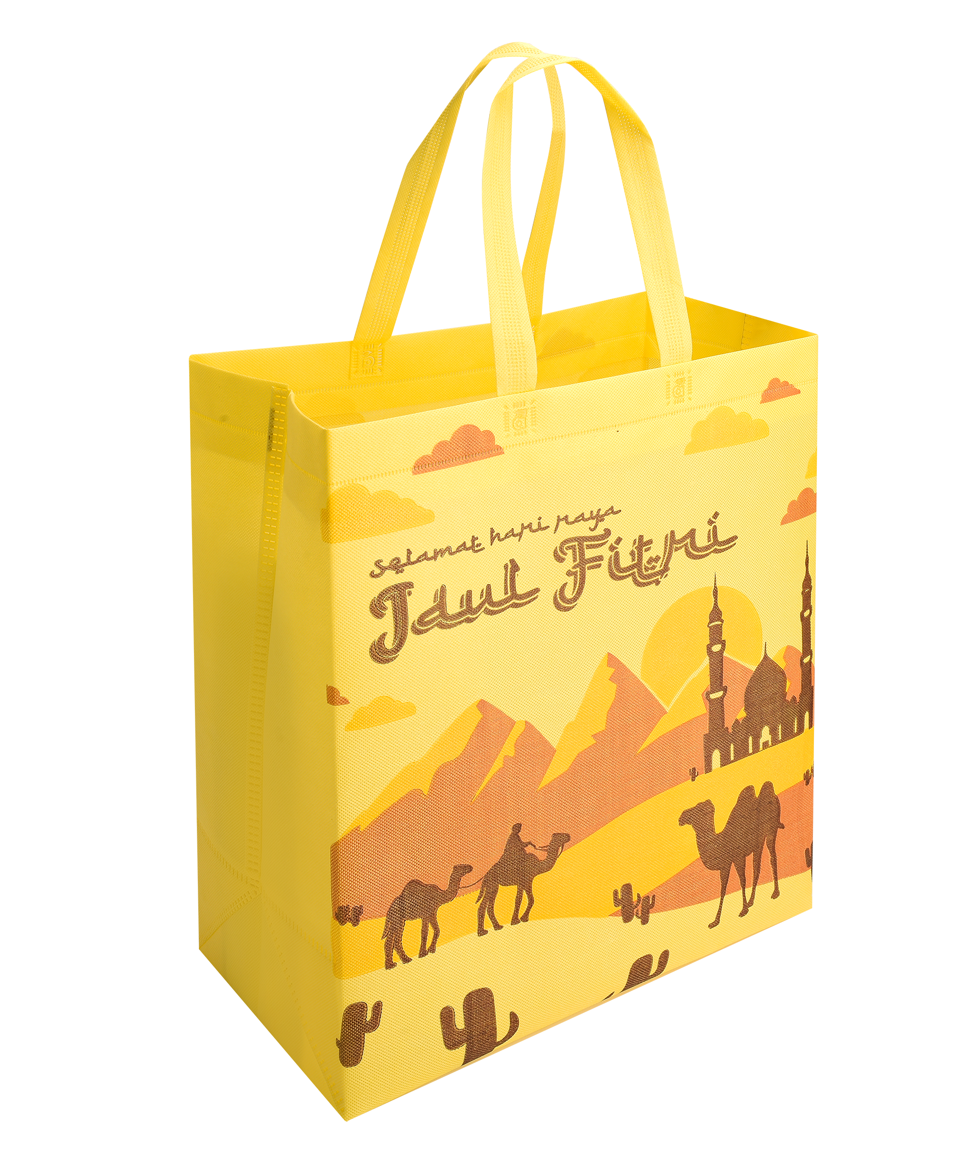LT500V non woven box bags
