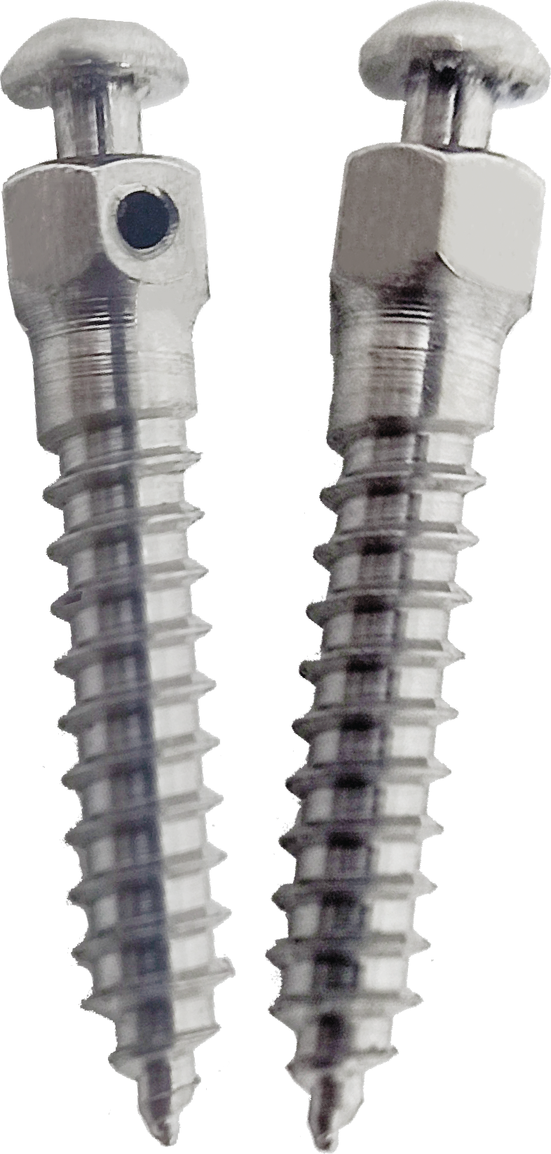 Implant Screw