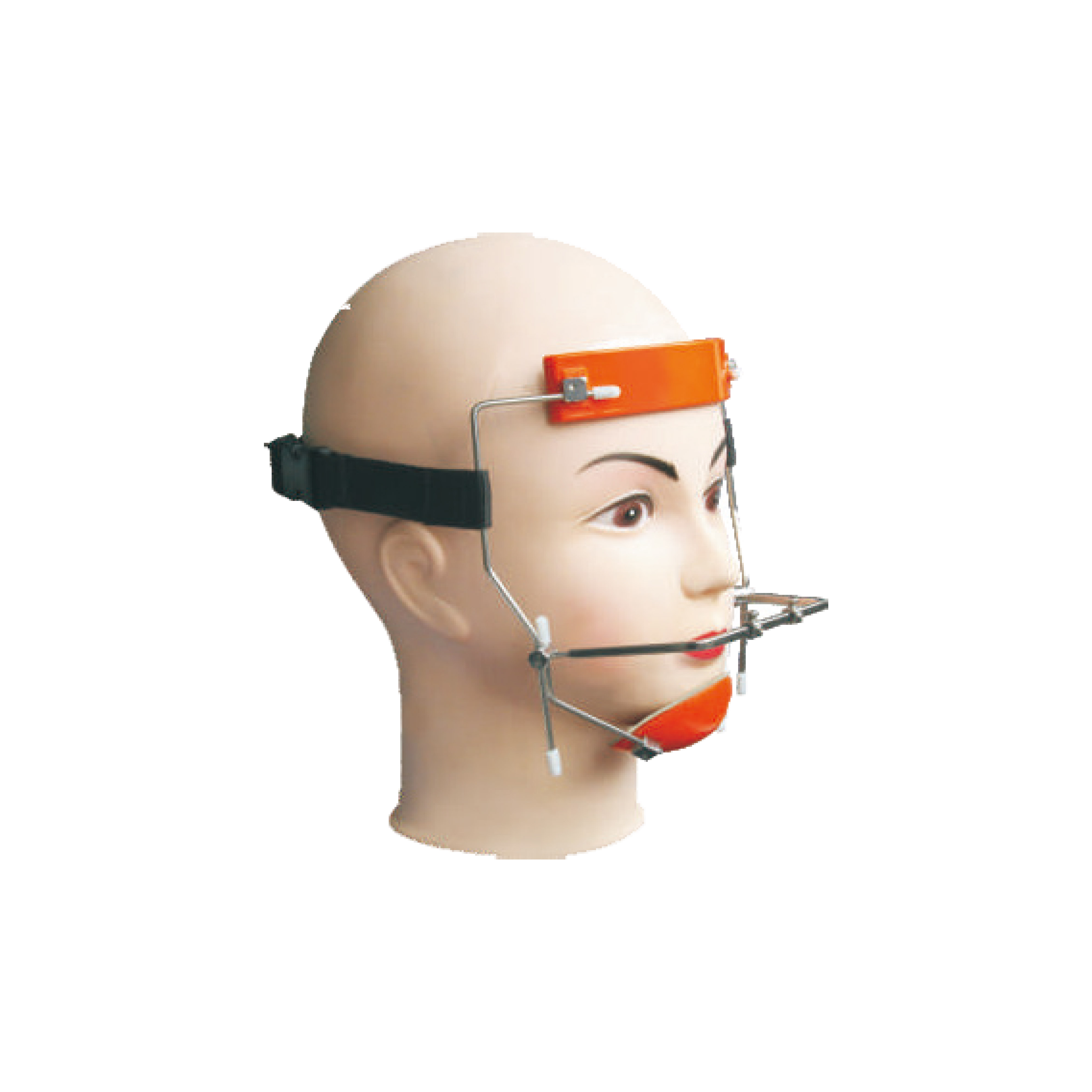 Face Mask/Universal