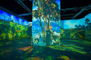 Exhibition hall / immersive art exhibition organizer
