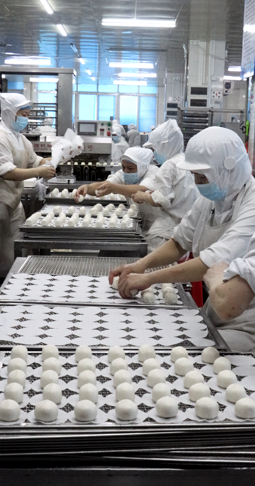 Mass production line for steamed dim sum buns at a Shunde food manufacturing facility