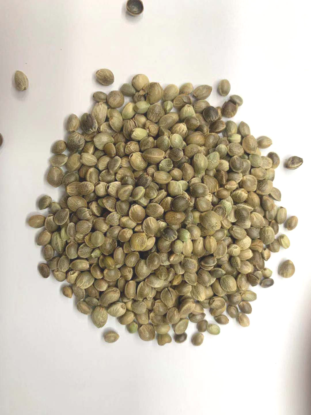 Hemp Seeds