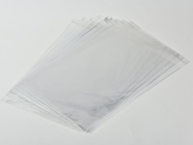Plastic Bag with Customized Logo