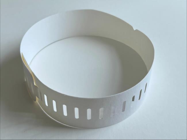 Paper Collar Band