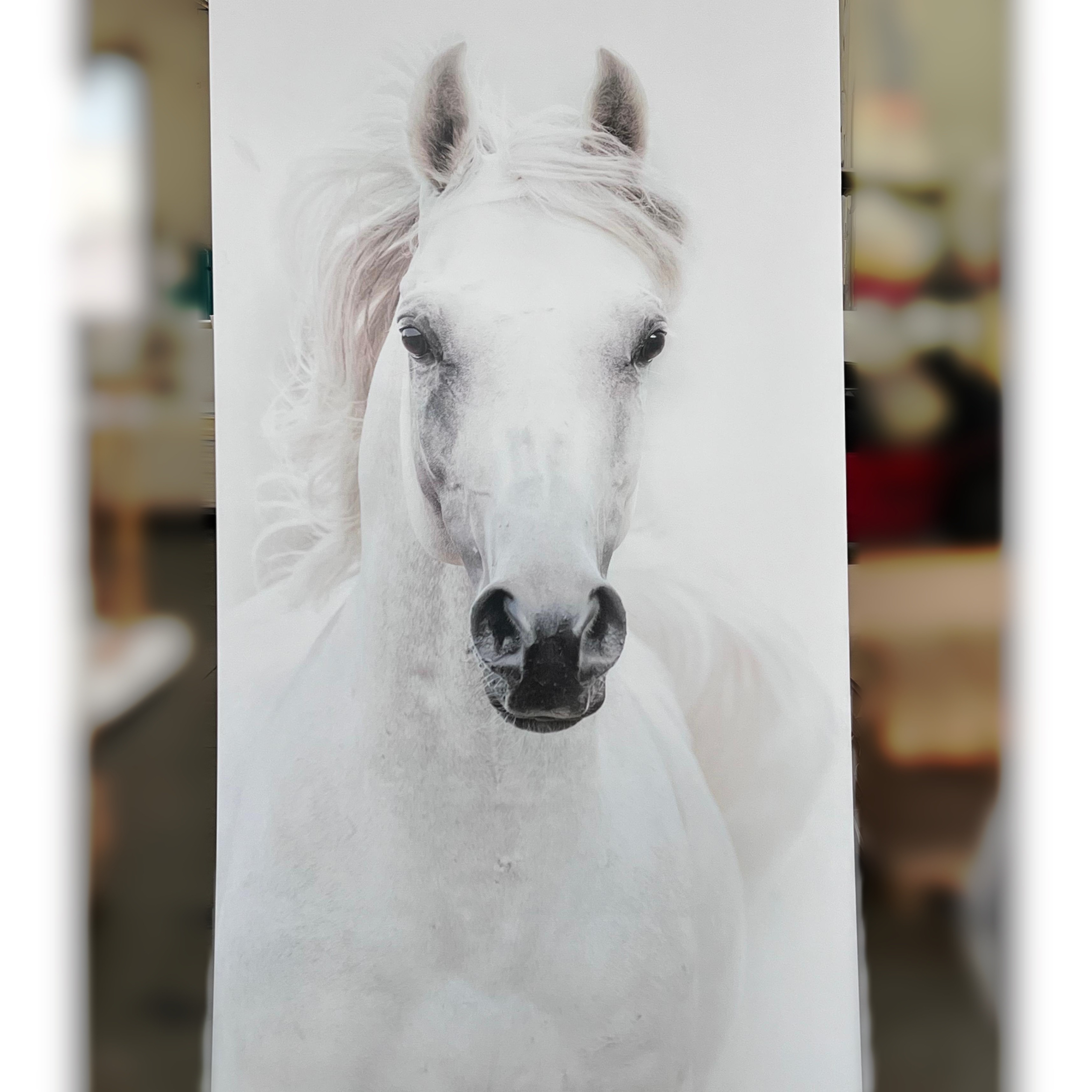 PVC Marble Sheet