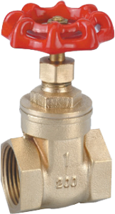 BRASS GATE VALVE