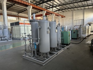 BXO-20 PSA oxygen generator