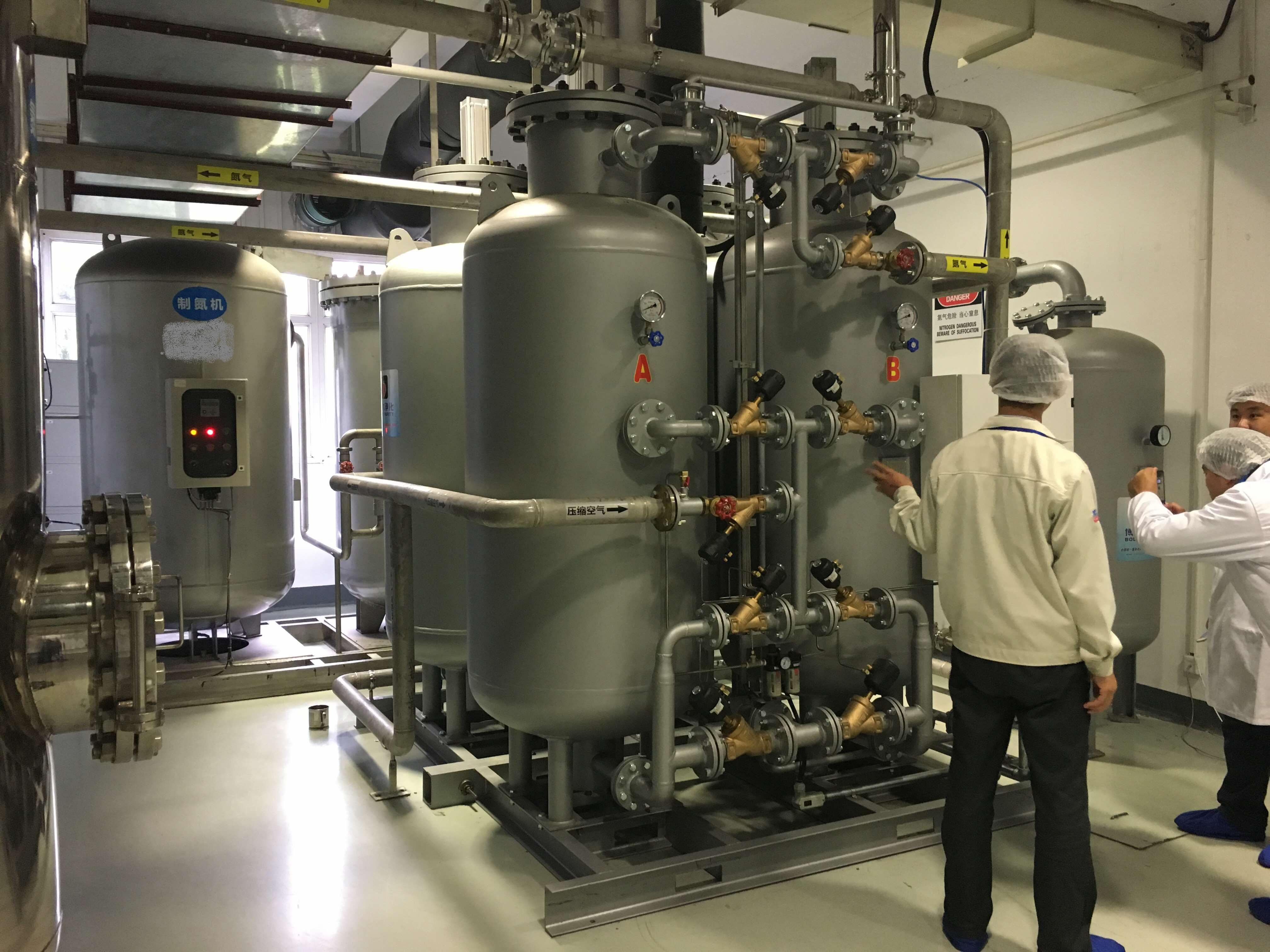 Food grade nitrogen generator