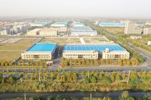 company profile