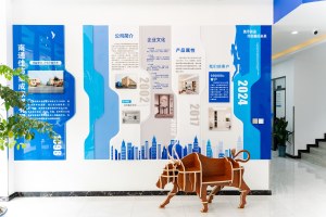company profile