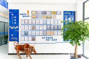 company profile