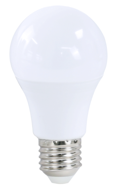 bulb
