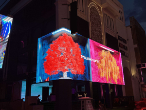 3D LED Display / Outdoor LED Display / Hotel LED Display / DOOH LED Display
