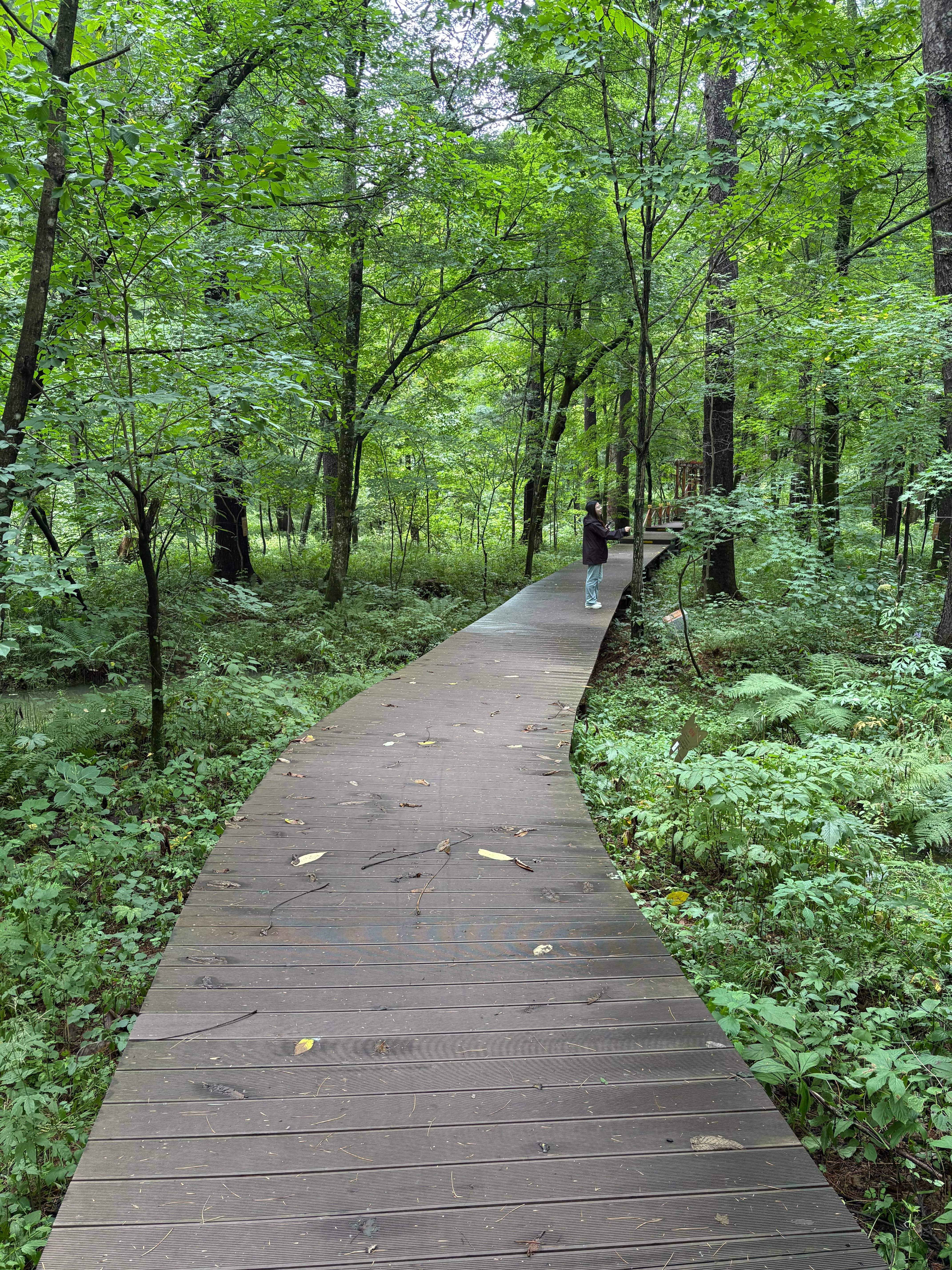Installed WPC decking in a public park in a high-humidity region
