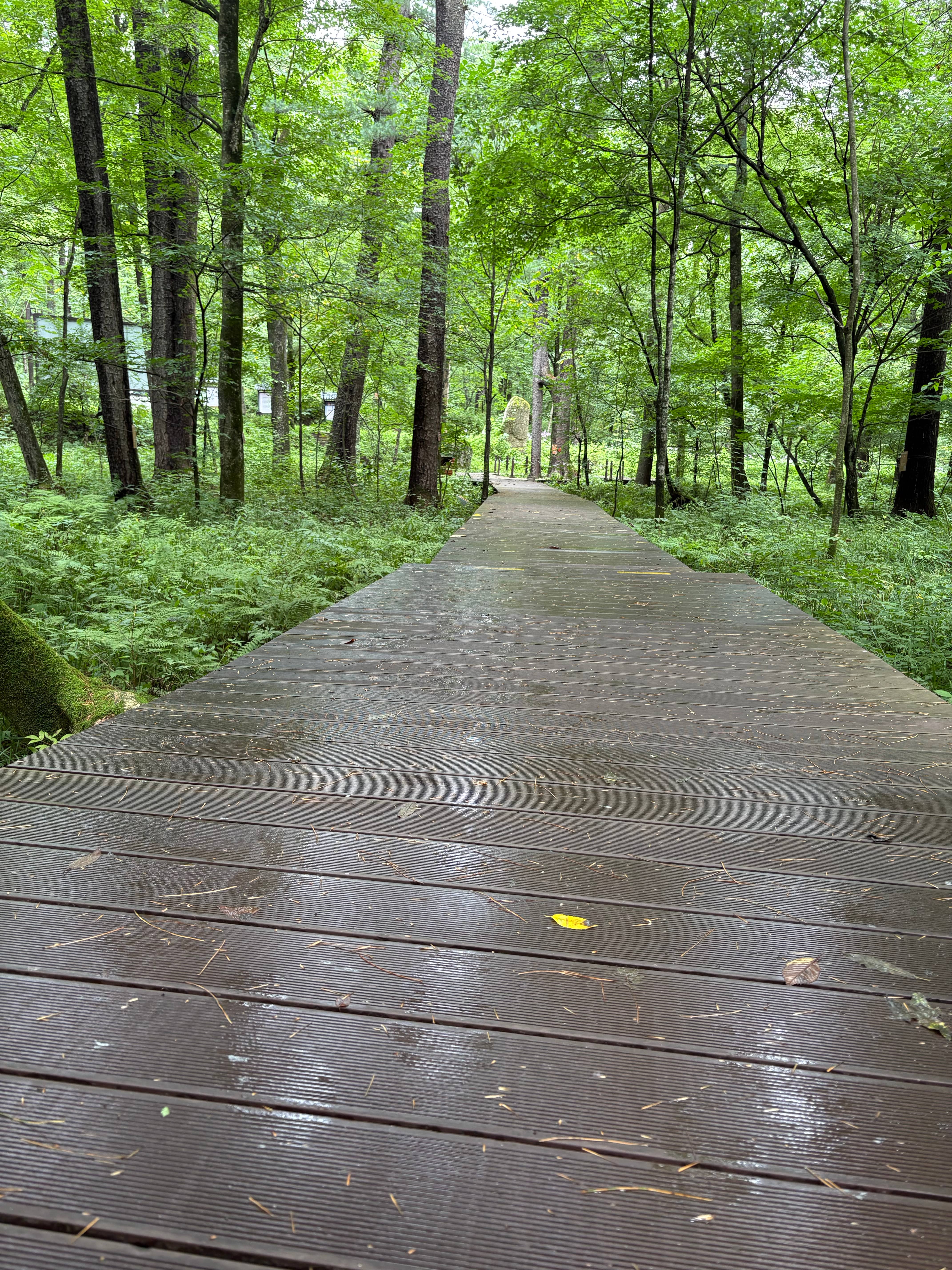 WPC decking boards installed in a park