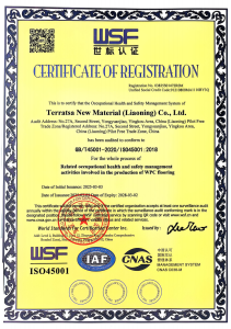 ISO 45001 Occupational Health and Safety Management System