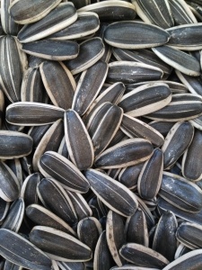 Nuts