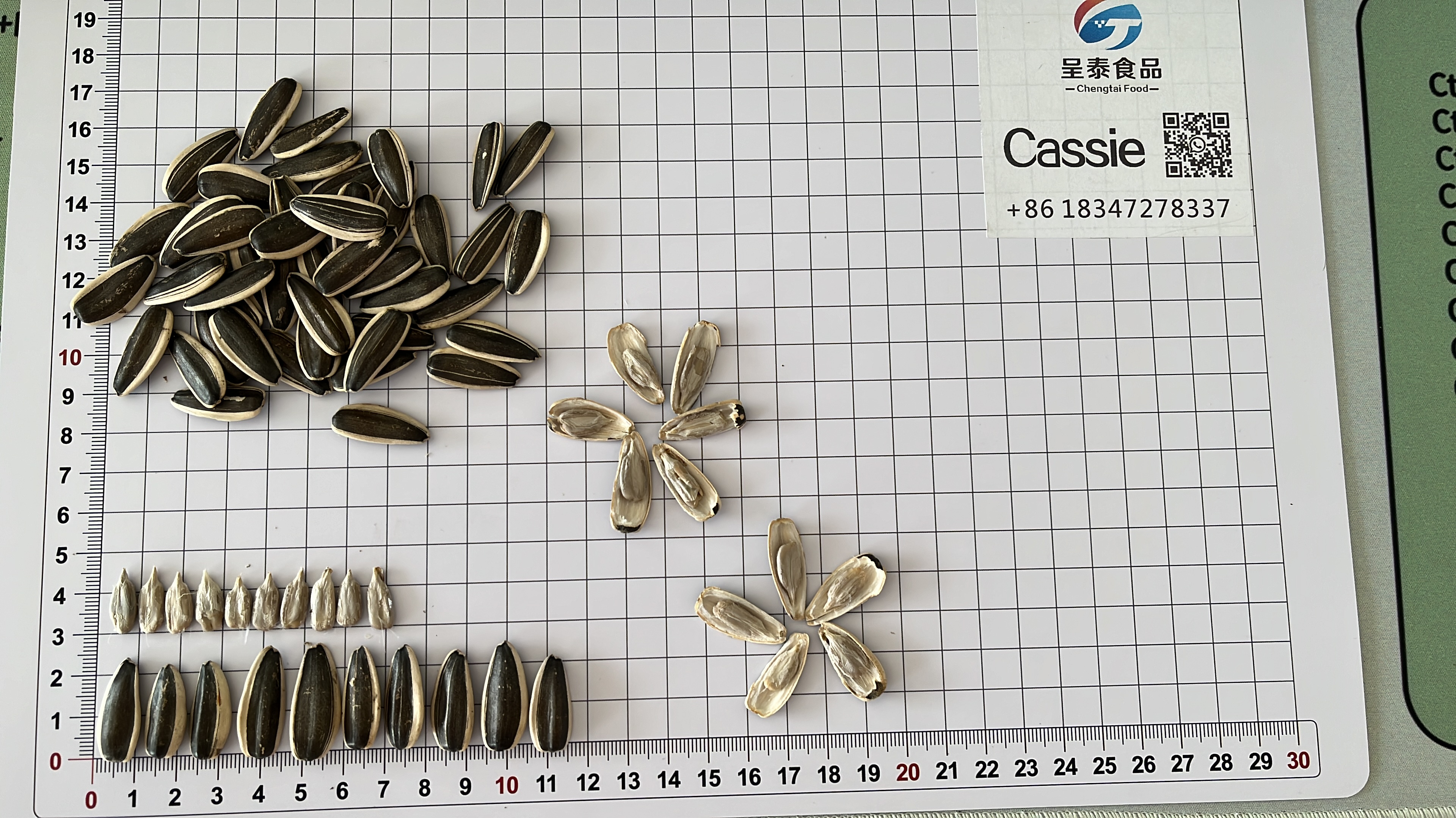 Sunflower Seeds 363