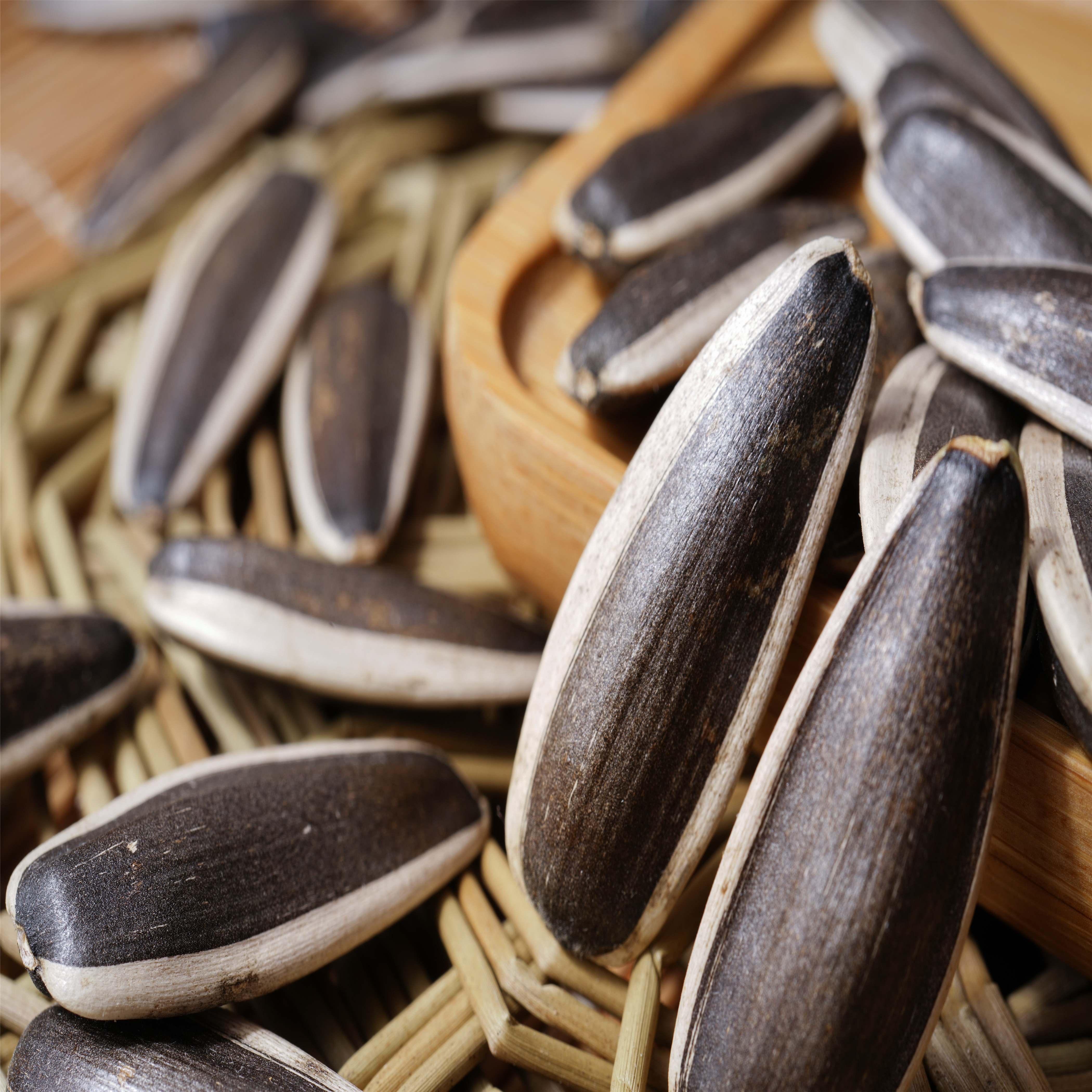 Sunflower Seeds 363