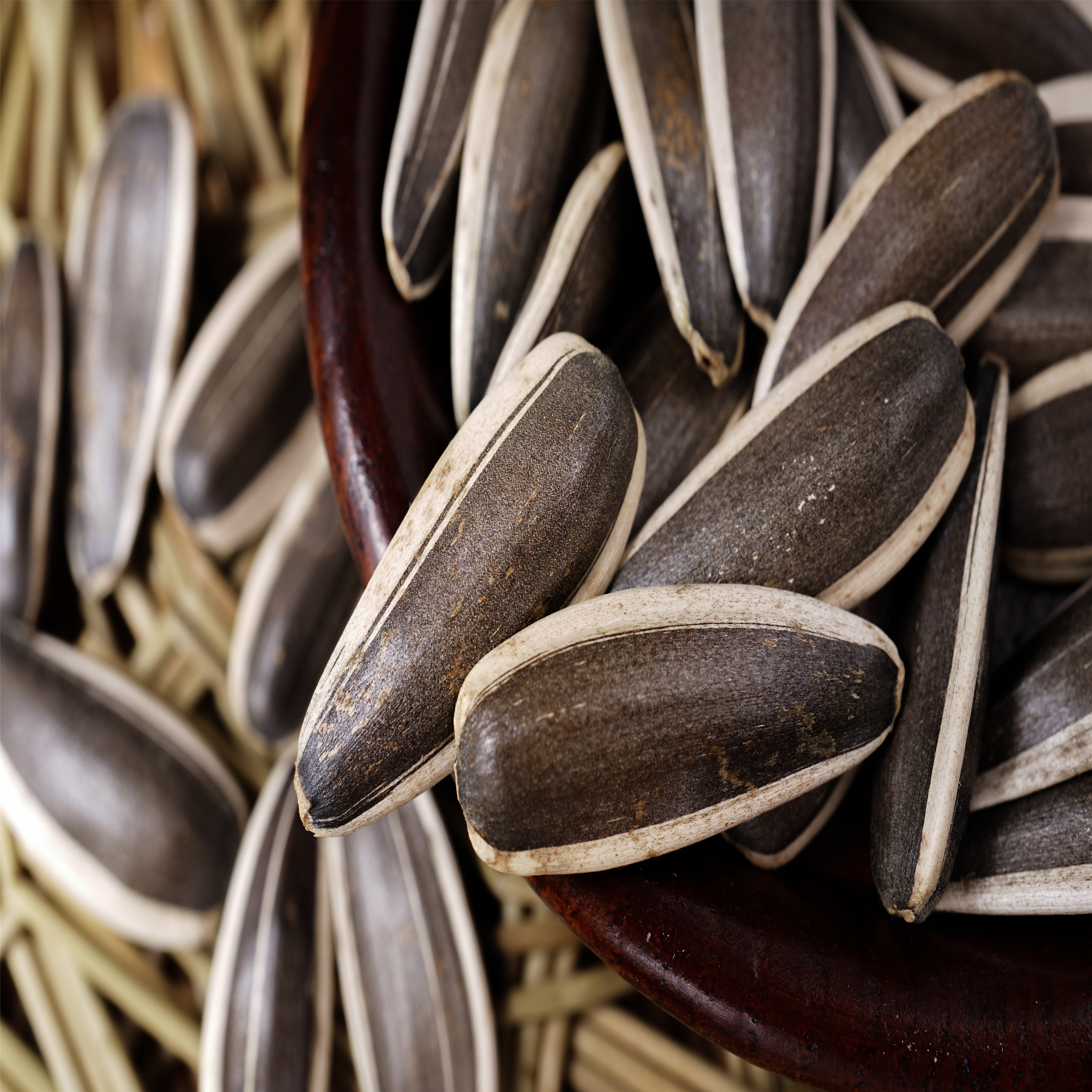 Sunflower Seeds 363