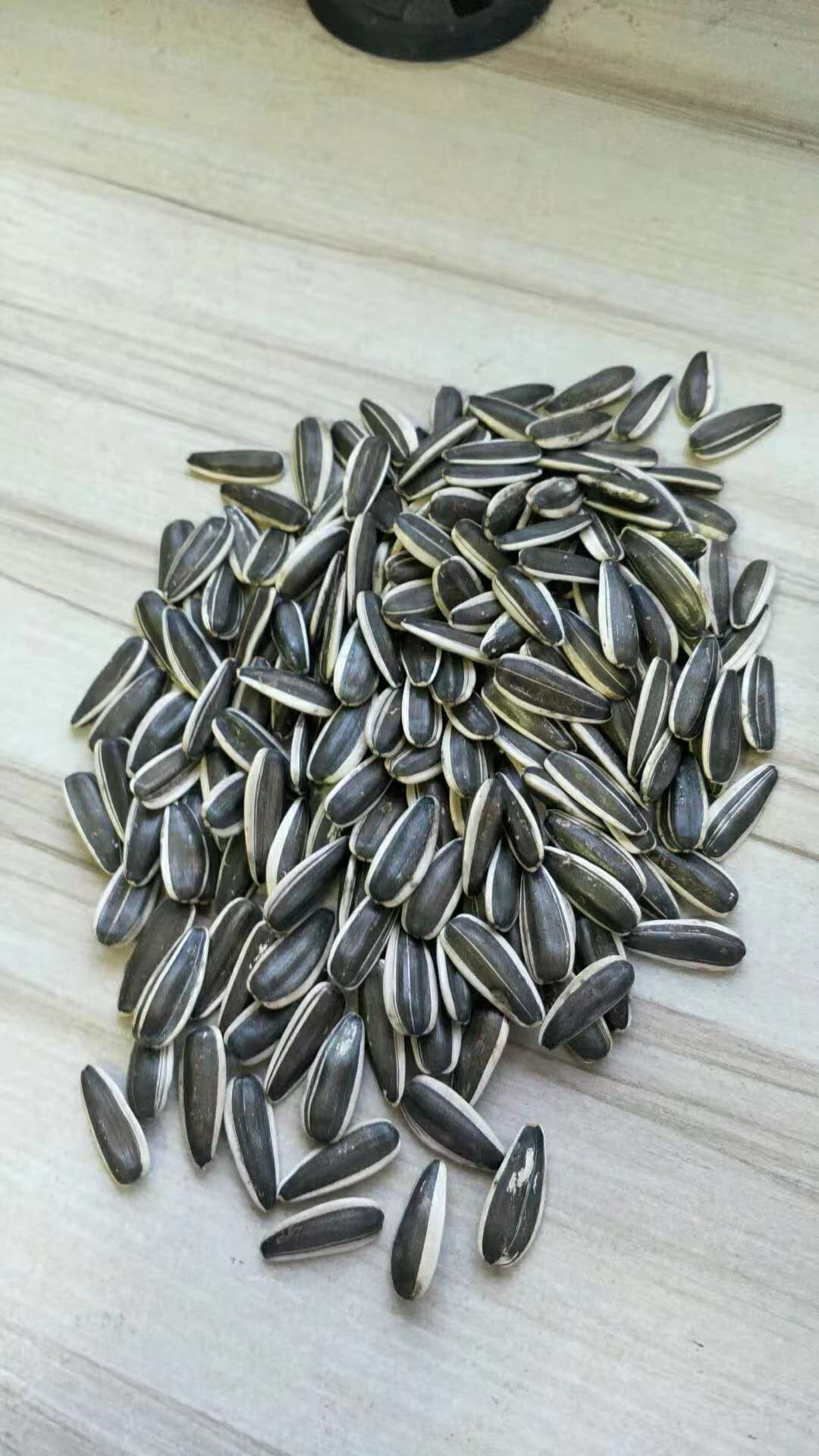 Sunflower Seeds 363