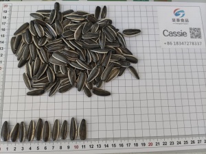 Sunflower seeds T6 190-200 pcs/50g in a bowl