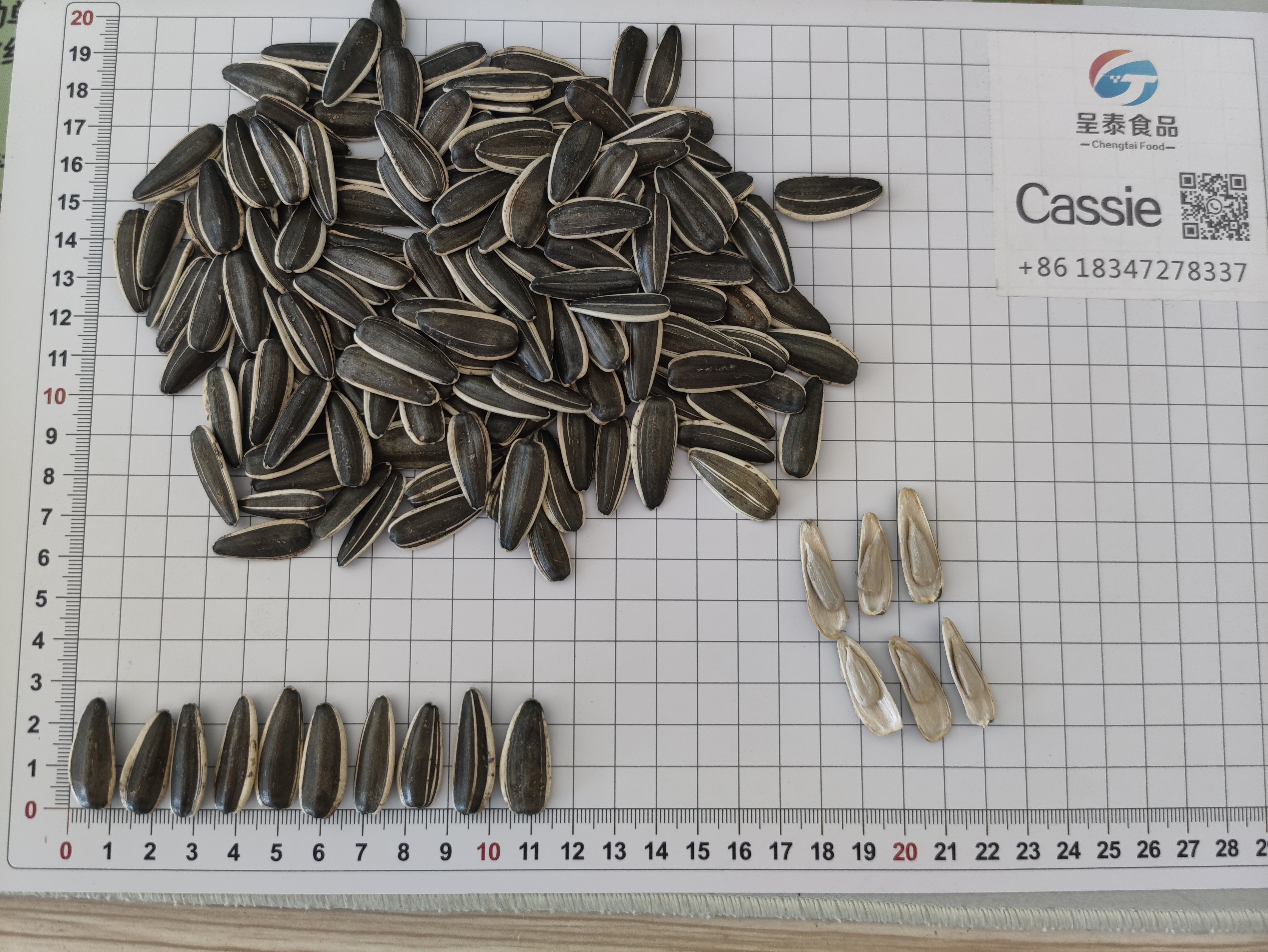 T6