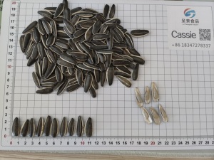 Sunflower seeds T6 stacked bags in warehouse