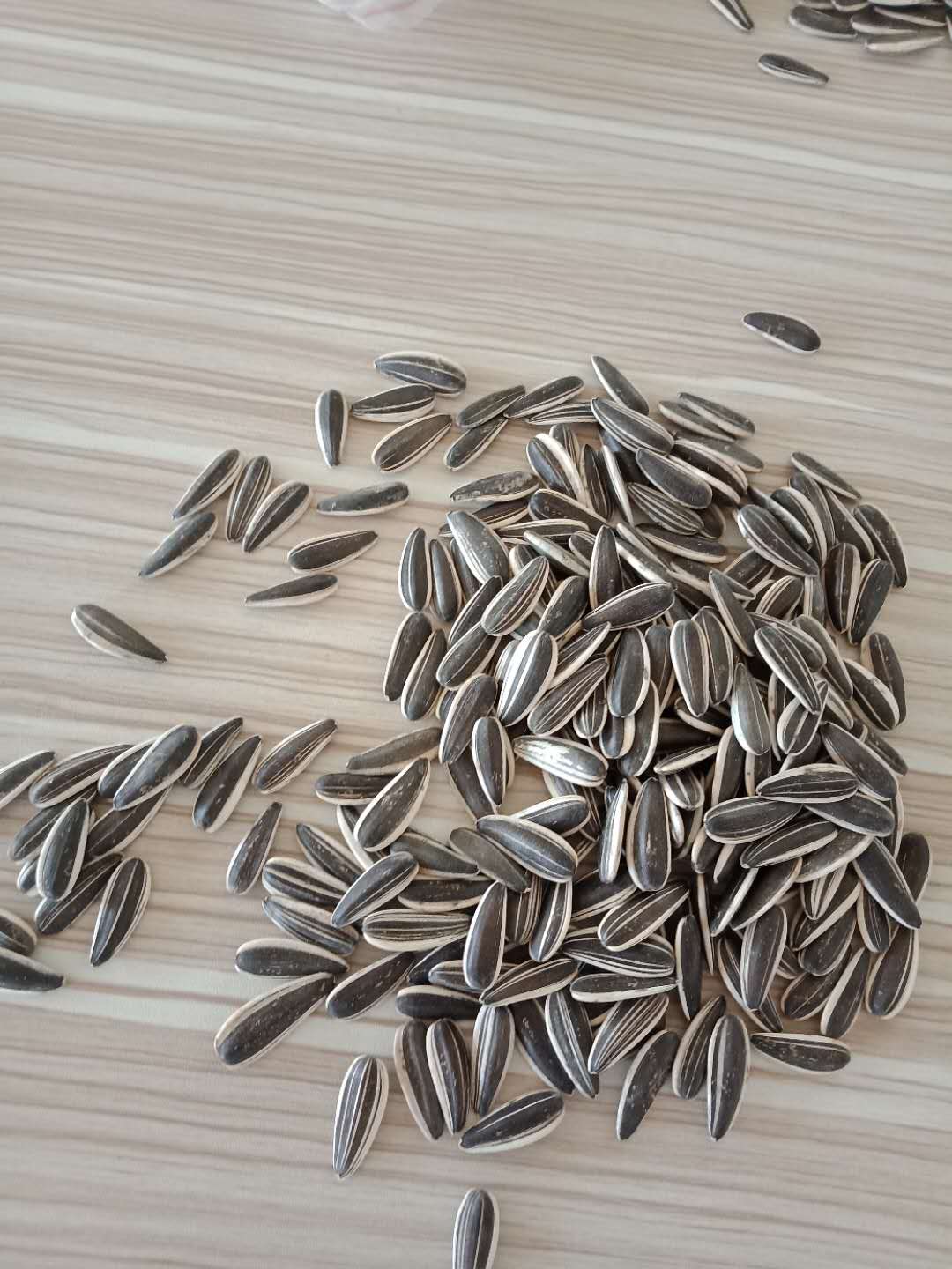 Sunflower Seeds 601