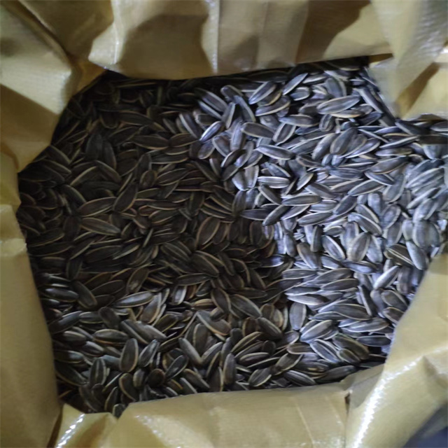 Sunflower Seeds 361 