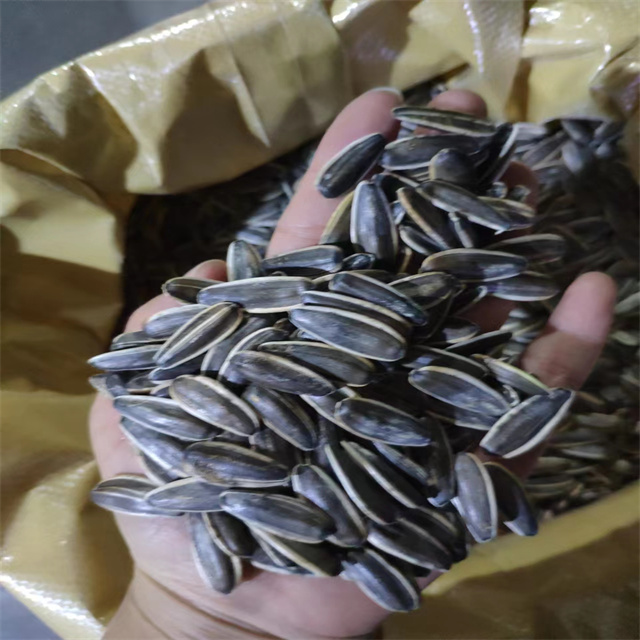 Sunflower Seeds 361