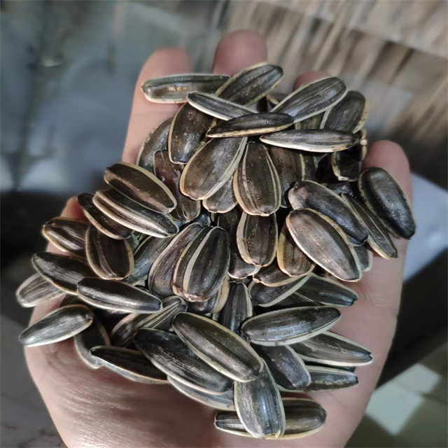 Sunflower Seeds 361 
