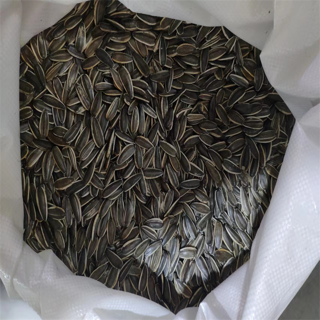 Sunflower Seeds 361