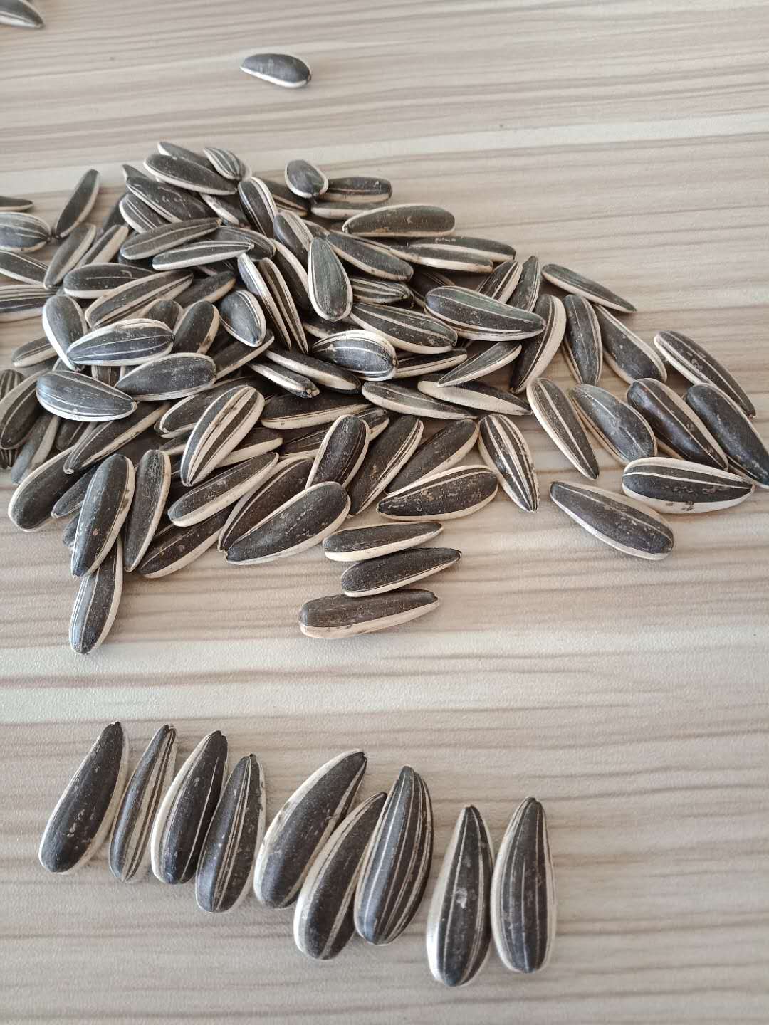 Sunflower Seeds 601