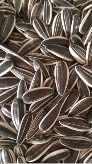 Sunflower Seeds 601
