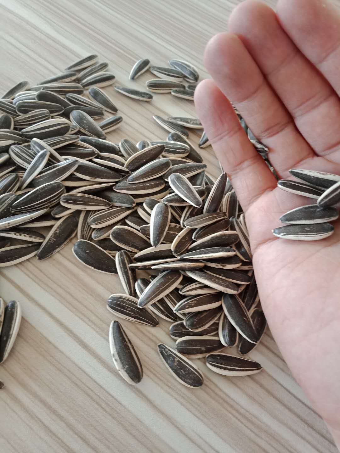Sunflower Seeds 601
