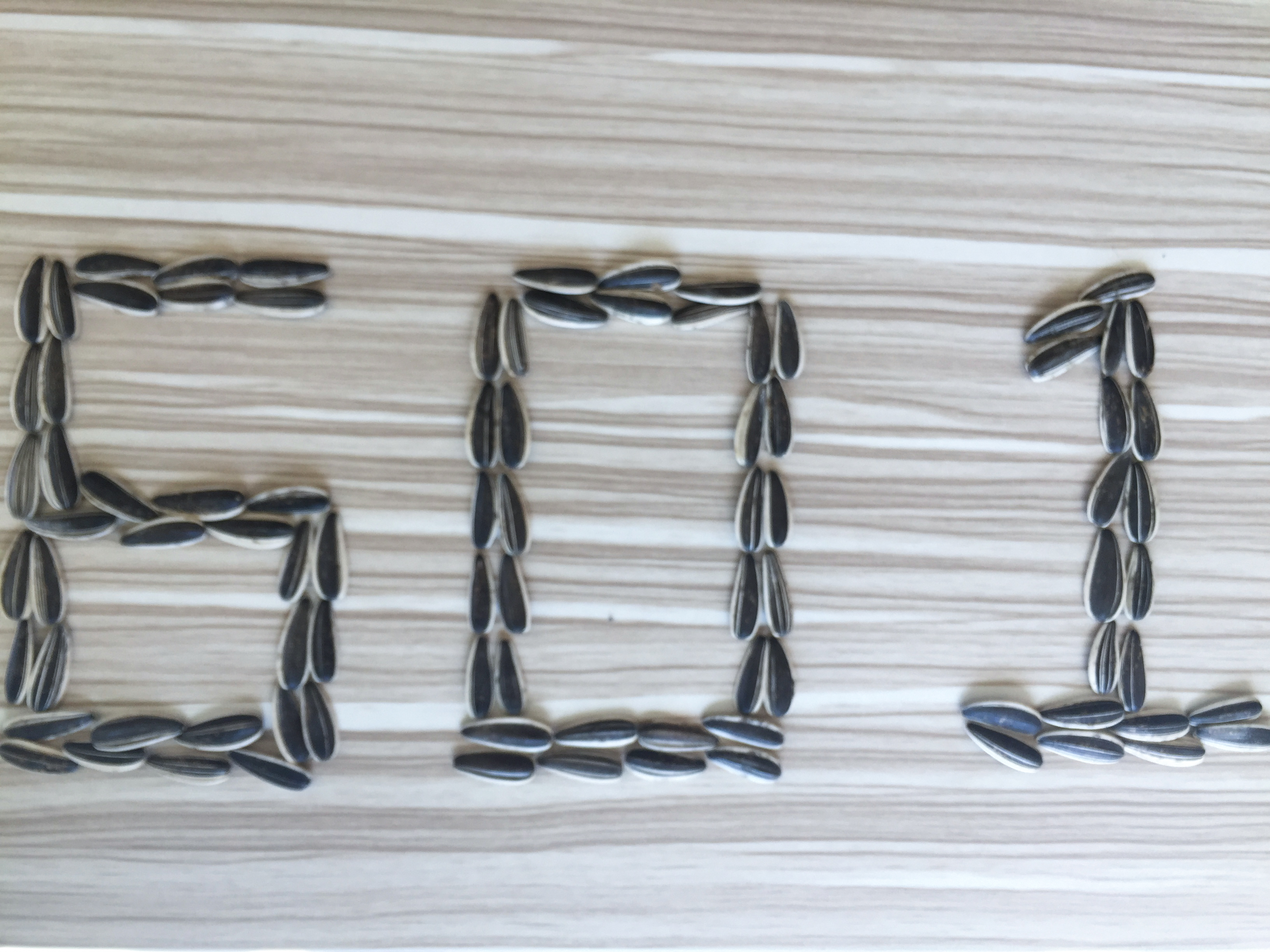 Sunflower Seeds 601