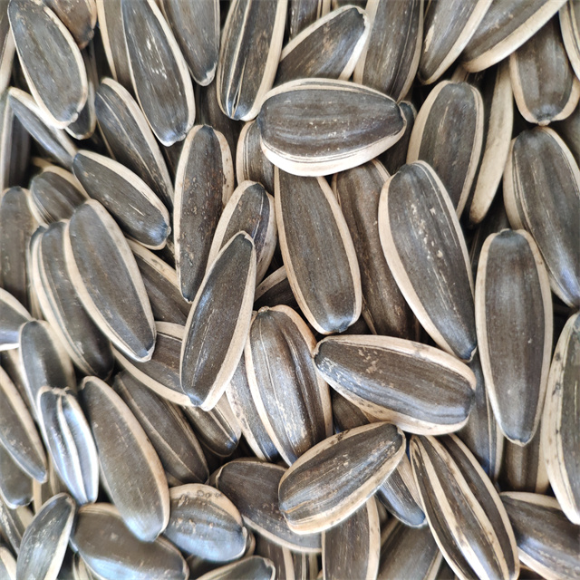 Sunflower Seeds 361