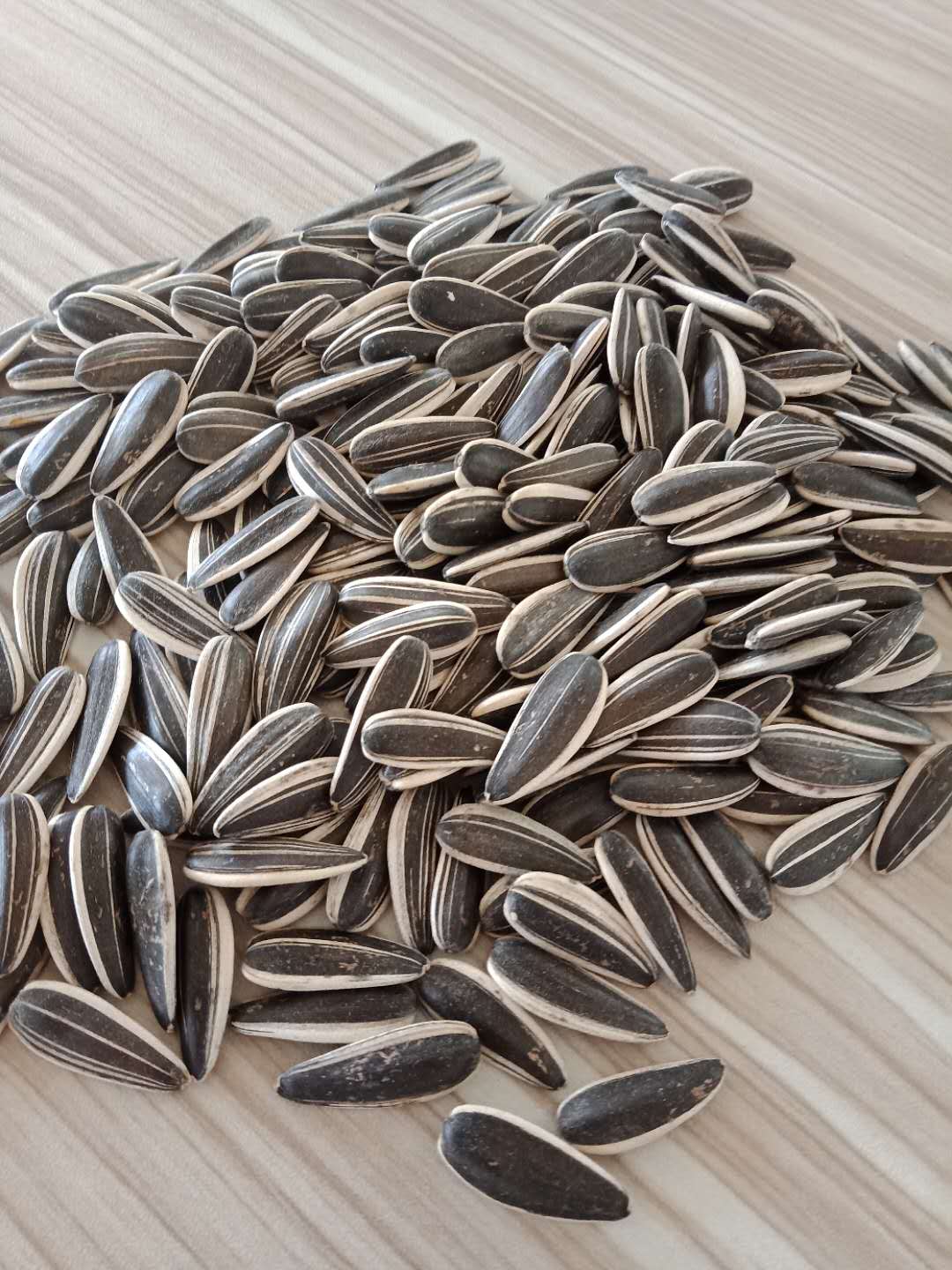 Sunflower Seeds 601