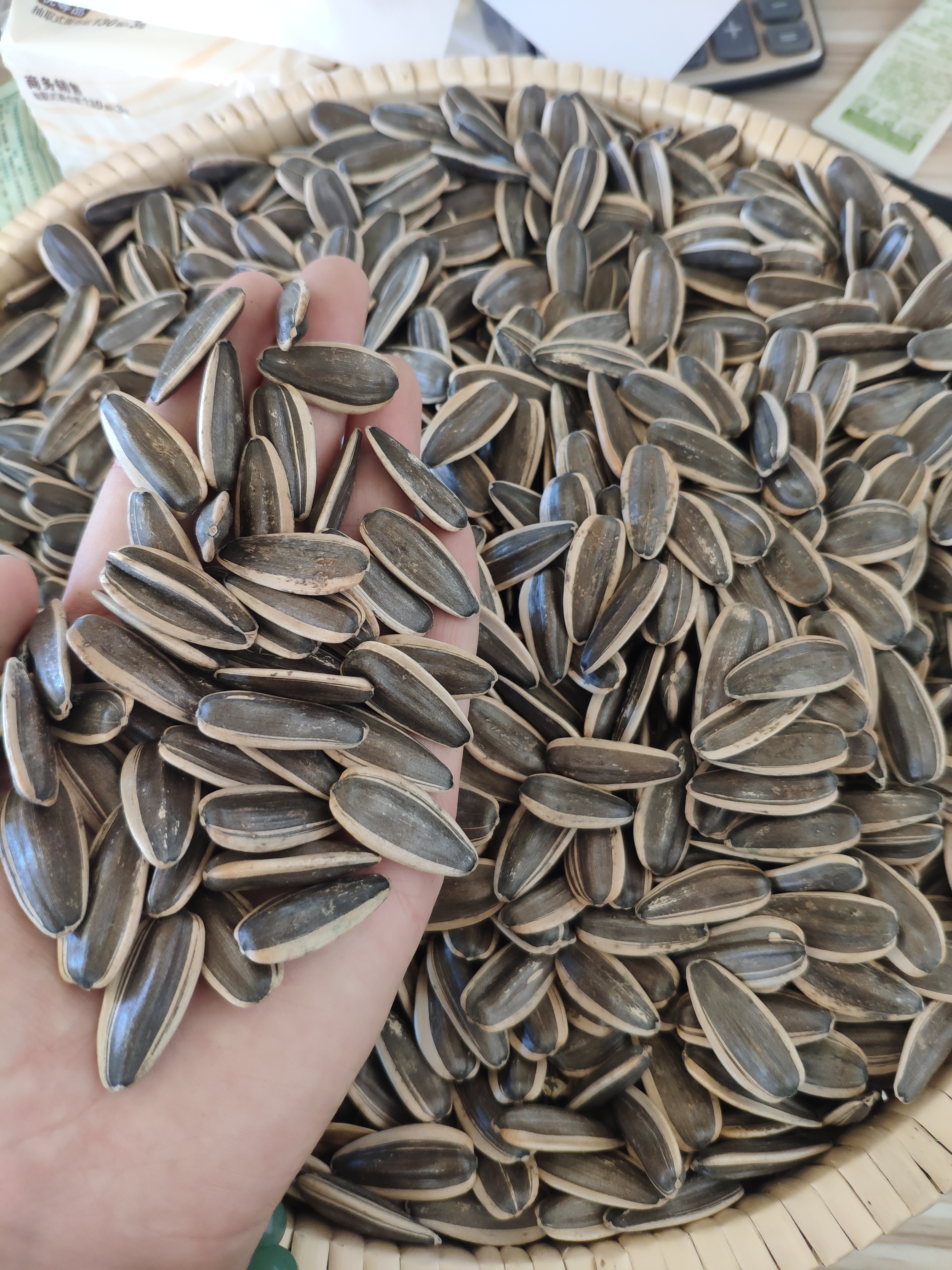 Sunflower Seeds 361