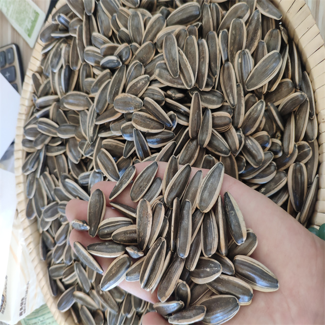 Sunflower Seeds 361