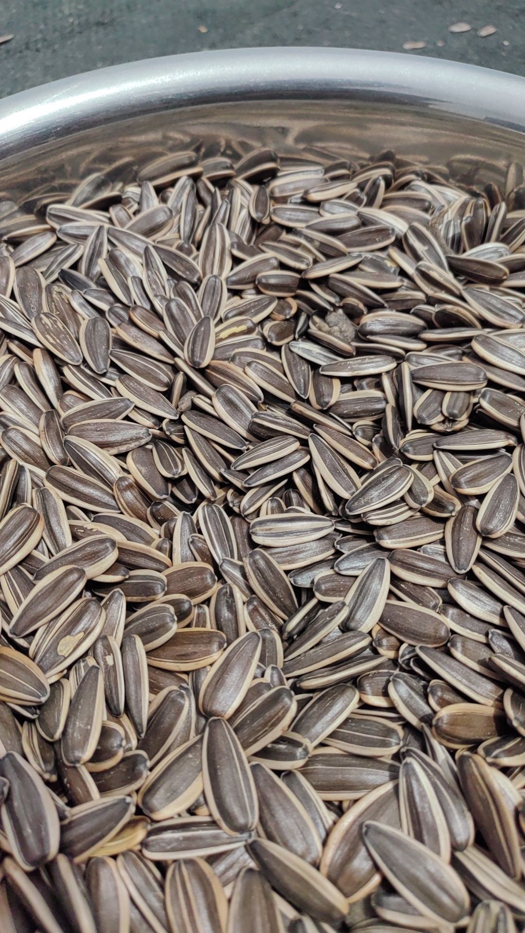 Sunflower Seeds 361