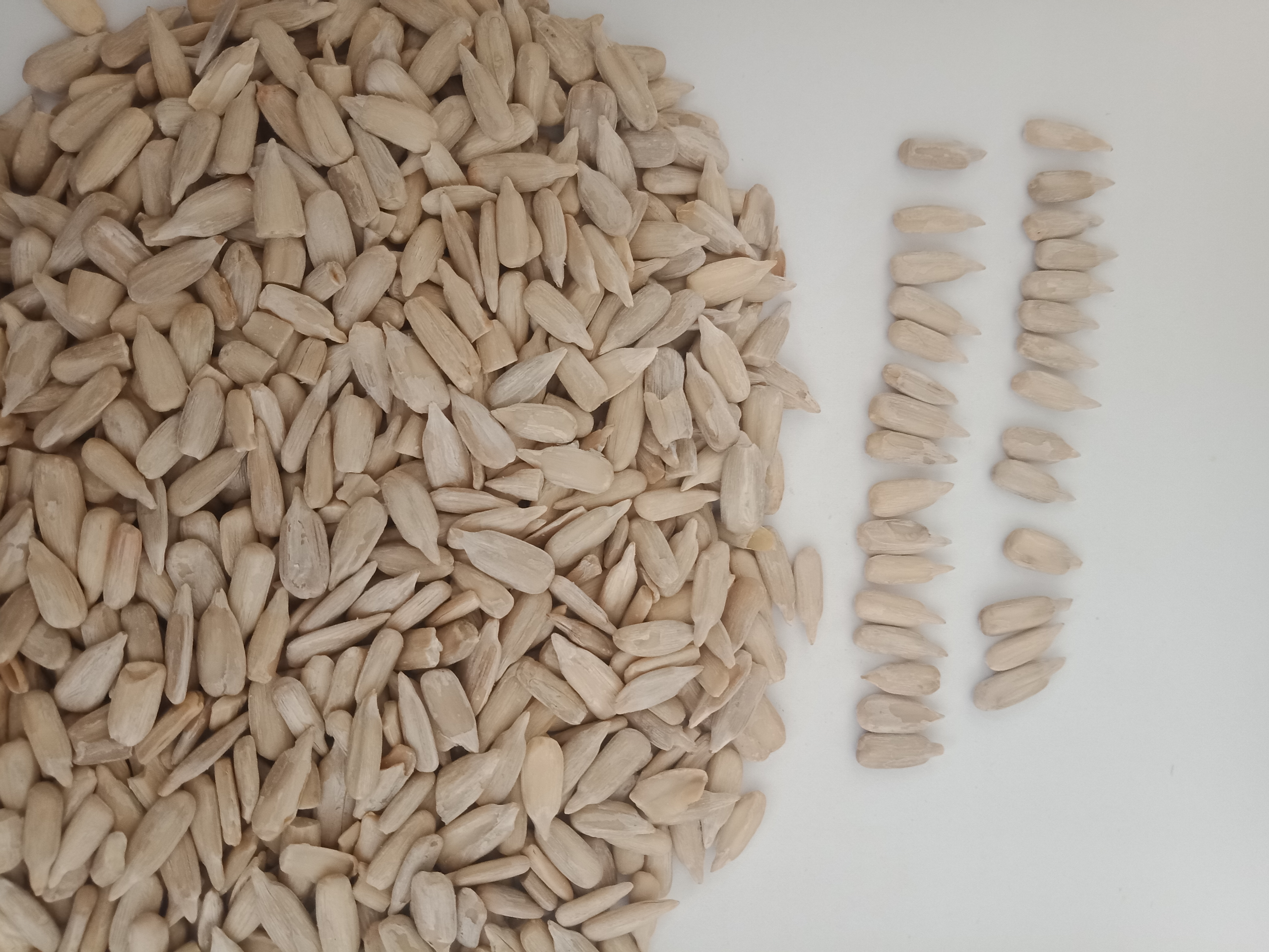 sunflower seed kernels
