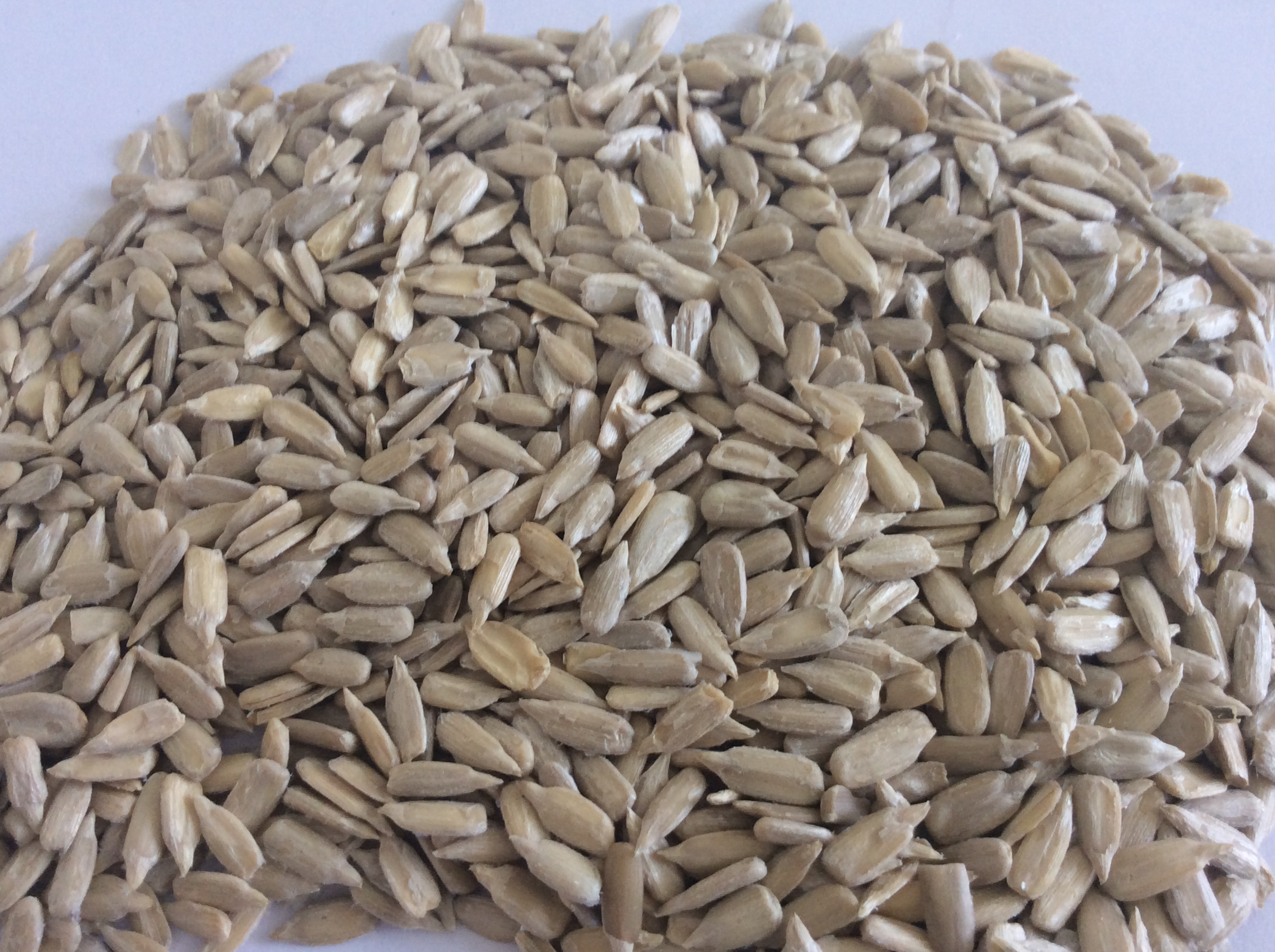sunflower seed kernels