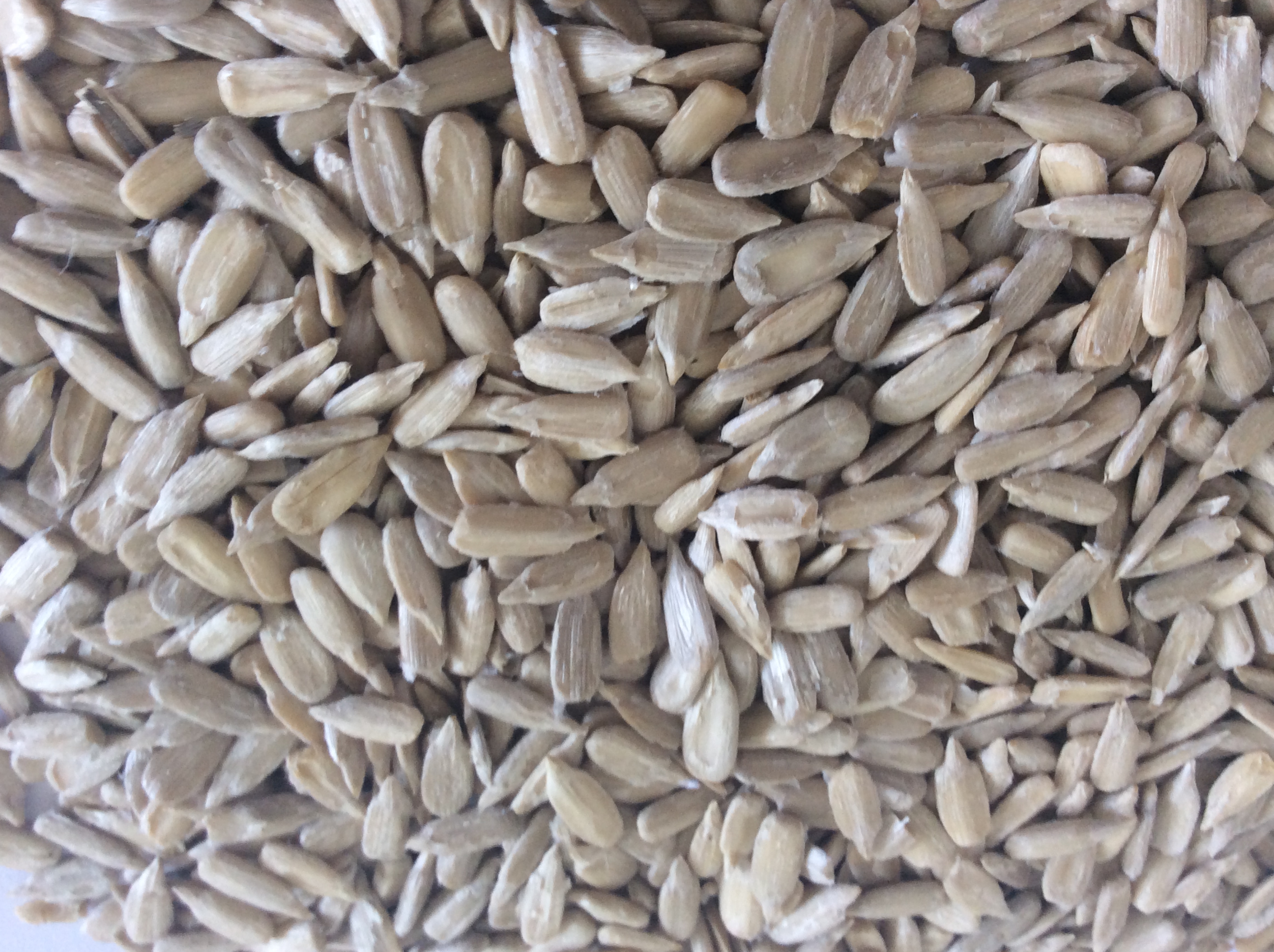 sunflower seed kernels