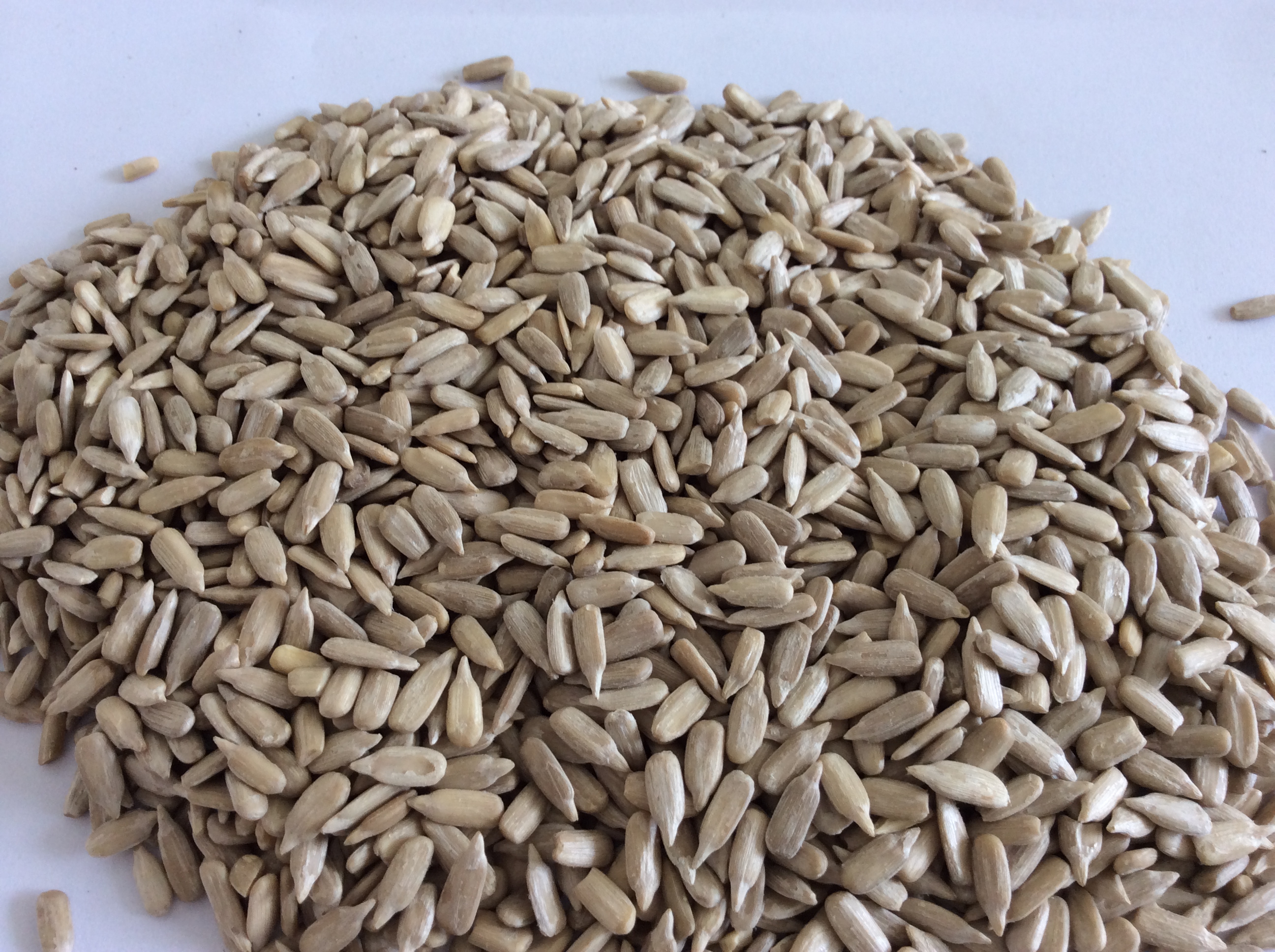 sunflower seed kernels